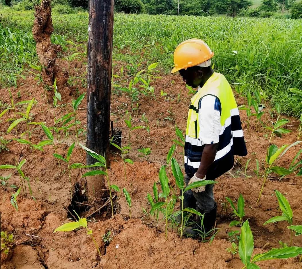 ZTE / ZESCO ZESCO Solar Project (C.W + Solar) project gallery image 20